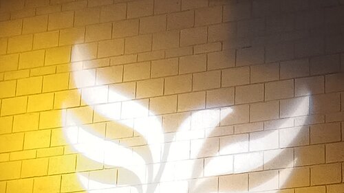 Lib Dem logo bird projected on blockwork
