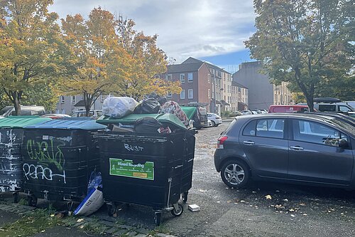 Communal recycling bins overflowing on Balfour Street